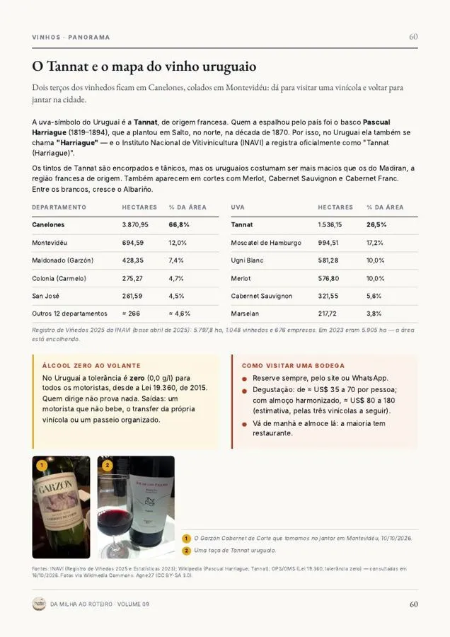 Página do guia: O Tannat e o mapa do vinho uruguaio